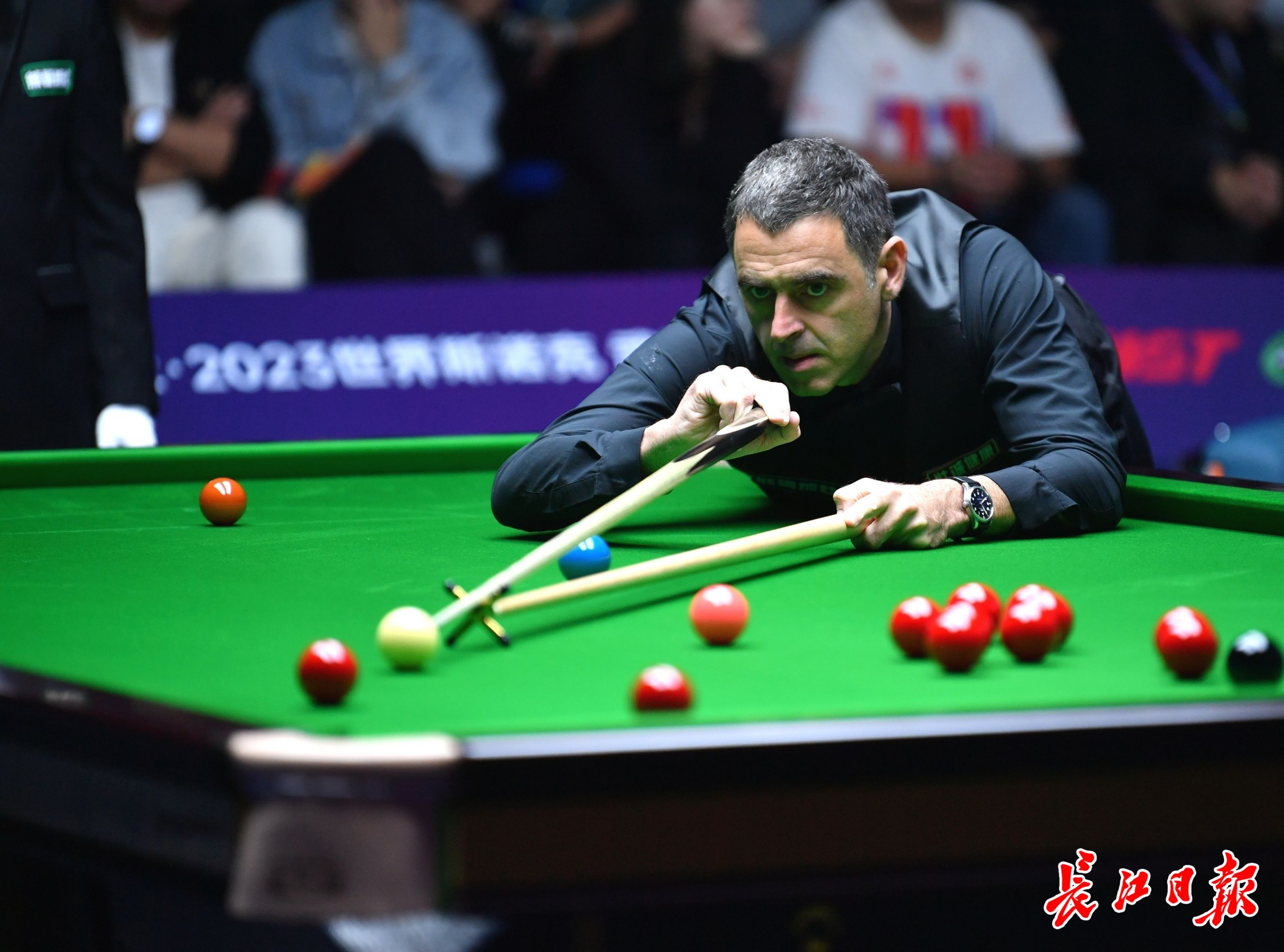 处罚不仅 处罚不仅